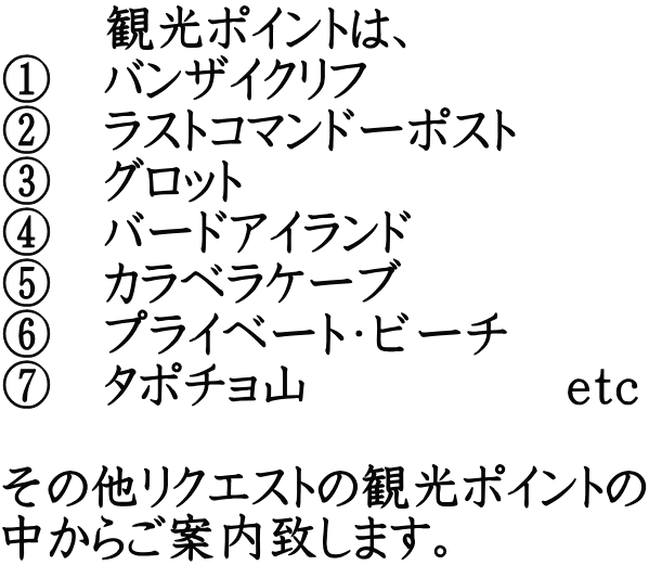 　　観光ポイントは、 ①　バンザイクリフ ②　ラストコマンドーポスト ③　グロット ④　バードアイランド ⑤　カラベラケーブ ⑥　プライベート・ビーチ ⑦　タポチョ山　　　　　ｅｔｃ  その他リクエストの観光ポイントの 中からご案内致します。