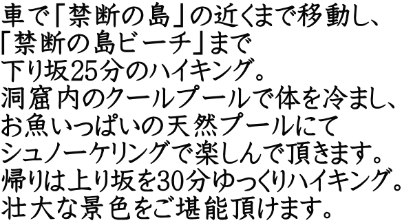 車で「禁断の島」の近くまで移動し、 「禁断の島ビーチ」まで 下り坂25分のハイキング。 洞窟内のクールプールで体を冷まし、 お魚いっぱいの天然プールにて シュノーケリングで楽しんで頂きます。 帰りは上り坂を30分ゆっくりハイキング。 壮大な景色をご堪能頂けます。