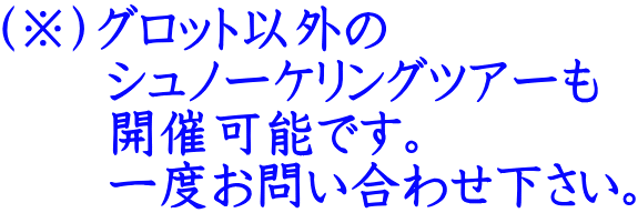 （※）グロット以外の 　　シュノーケリングツアーも 　　開催可能です。 　　一度お問い合わせ下さい。